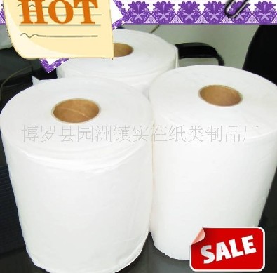 供應(yīng)專業(yè)生產(chǎn)廁紙衛(wèi)生紙卷紙 卷筒紙 專業(yè)廠家 信譽保證