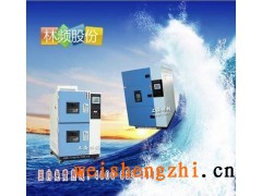 LRHS-010B-LV冷熱沖擊箱