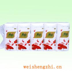 衛生紙|保定衛生紙廠|大軸原紙|河北掛漿原紙|掛漿大軸