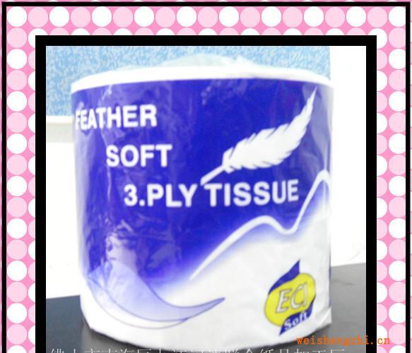 專業出口裝“羽毛”牌高級再生卷紙