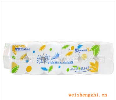 推薦供應(yīng)維朗卷紙系列原生衛(wèi)生紙?jiān)?/></a>
<ul><li><a href=