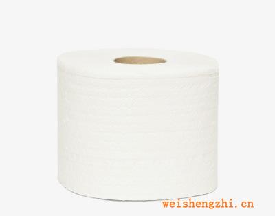 批量直銷(xiāo)供應(yīng)13-50克木漿輥筒紙衛(wèi)生紙量大優(yōu)惠