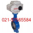 銷售對(duì)夾式電動(dòng)軟密封蝶閥D971X