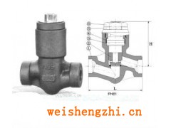 銷售H15Y自密封鍛鋼止回閥