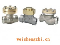 上海-DH44Y-16P低溫止回閥