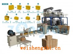 海口小袋全自動(dòng)計(jì)數(shù)裝箱機(jī)，醬油醋自動(dòng)裝箱機(jī)