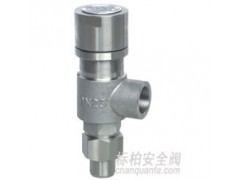 A61高壓彈簧微啟焊接式安全閥cnanquanfa
