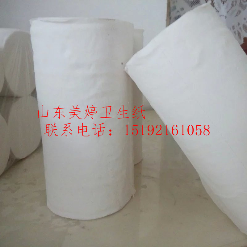 山東美婷紙業有限公司 透徹衛生紙分析
