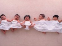 紙尿褲等進口產品高達70%不合格