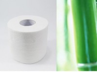 2018年四川江門20萬噸竹漿項目將建成