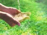 河北張家口市重拳防治工業企業水污染