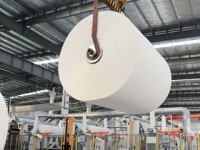 廣東東莞53家造紙企業已停產關閉
