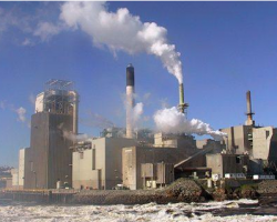 造紙企業迎來大考驗