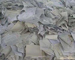 廣東從廢紙中接貨來自美國的高危劇毒生物