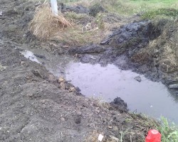 山東濟寧聯合紙業被通報