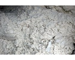 全球大的紙漿廠有望投產，紙漿上漲或得到緩解