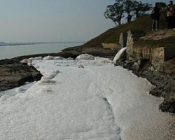 如何解決造紙行業的污染