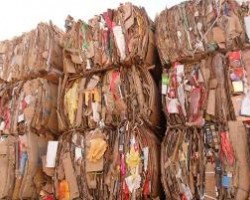 美國進口廢紙被退運