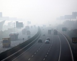 生活用紙行業(yè)的“霧霾”