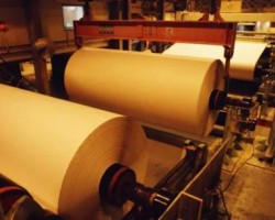 衛(wèi)生紙行業(yè)產(chǎn)能過剩亟待升級(jí)