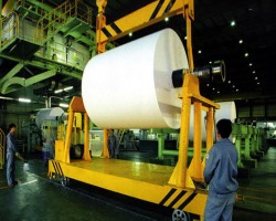 造紙行業前瞻 無懼成本