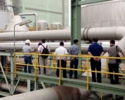 兩會熱點 希望免稅政策更多惠及造紙企業