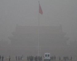 污染企業被強制關停