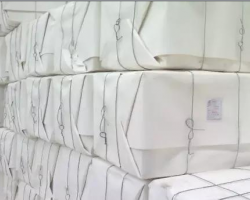 影響衛生紙的因素---紙漿