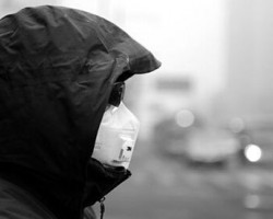 受環保停產影響河南出現深度紙荒 紙箱廠提前加10%預算搶購明年原