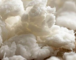 目前市場上哪一種紙漿賺錢?