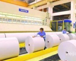 生活用紙行業(yè)現(xiàn)狀分析