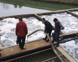 某造紙廠頂風作案被查封