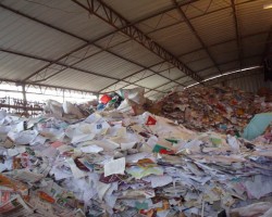 紙價或繼續漲，應該提高廢紙利用率