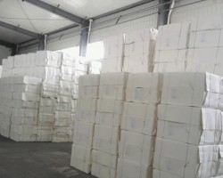 亞洲紙漿參加世界經濟論壇