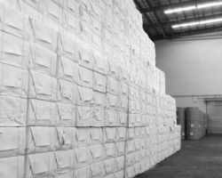 紙漿市場基本維持穩定