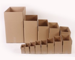 紙箱包裝機械成河北東光縣支柱產業