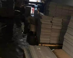 廣州暴雨突然來襲，紙品廠措手不及