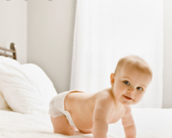 山東淄博紙尿褲抽檢，過半產(chǎn)品不合格！