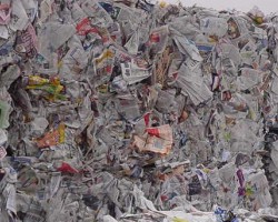 繼福建之后，海南廢紙價格也上漲！