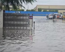 暴雨來襲，紙板紙箱如何存放？
