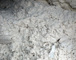 我國已成為世界上大的原生紙漿進口國