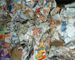 廢紙箱價(jià)下跌　鄭州收購站老板三天賠了10萬元