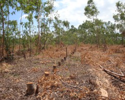 富士施樂(lè)承諾支持《溫哥華宣言》 繼續(xù)推進(jìn)紙張道德采購(gòu)