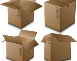 年產1.2億平方米高檔紙箱項目已通過！