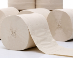 本色生活用紙or白色生活用紙，你會選哪個？