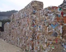 廢紙淡季價格頻頻上漲，引得央視注意