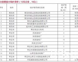 山東造紙企業(yè)6月前必須完成10蒸噸以上鍋爐超低排放