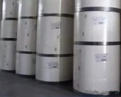 什么是絨毛漿？