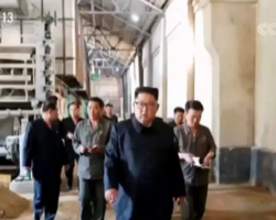 金正恩視察造紙廠，要求推進朝鮮工業部門現代化改造！/泰國也限廢禁廢！