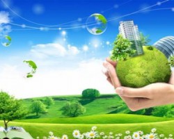 環(huán)保督查到底查的是什么？